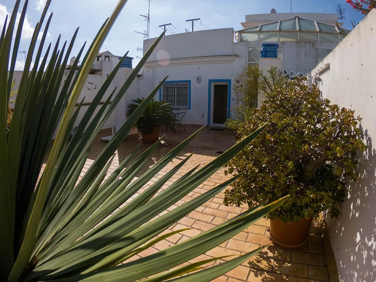 Ferienwohnung La Terraza Del Drago Cádiz Apartment